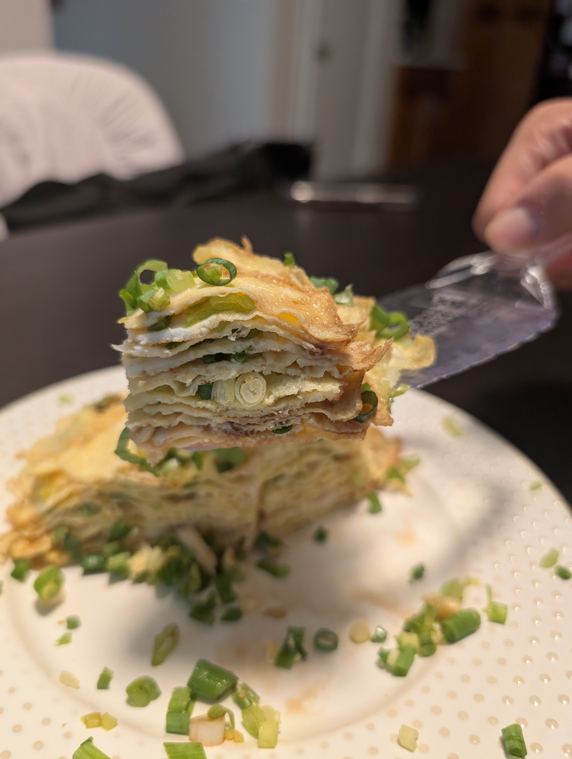 Scallion (Green Onion) Omelette : an easy and picture-worthy breakfast